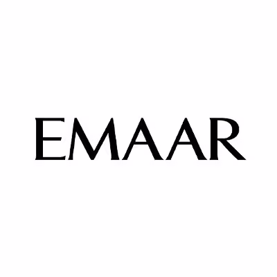 Developer logo 1